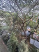 รูปย่อ ขาย คอนโด ตกแต่งสวยงามพร้อมเข้าอยู่ Escent Park Ville Chiangmai 25.47 ตรม. ใกล้ เซ็นทรัลเฟสติวัลเชียงใหม่ รูปที่3