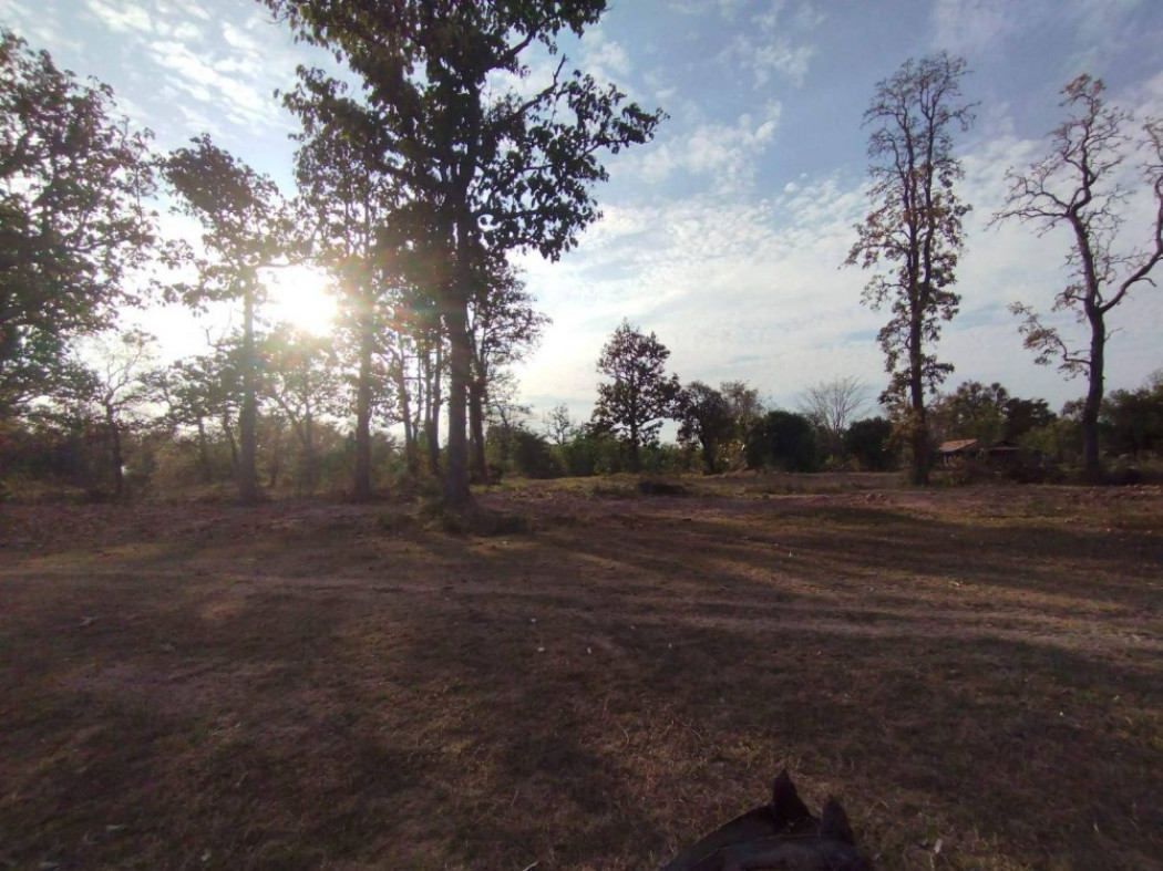 ขาย ที่ดิน ทางหลวงถนนสายบ้านใหม่ไชยพจน์-พล ต.ดงเค็ง อ.หนองสองห้อง ID-13526 รูปที่ 3
