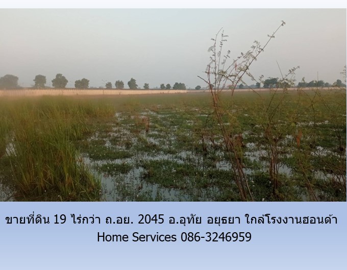 ขายที่ดิน 19 ไร่กว่า ถ.อย. 2045 อ.อุทัย อยุธยา ใกล้โรงงานฮอนด้า รูปที่ 3