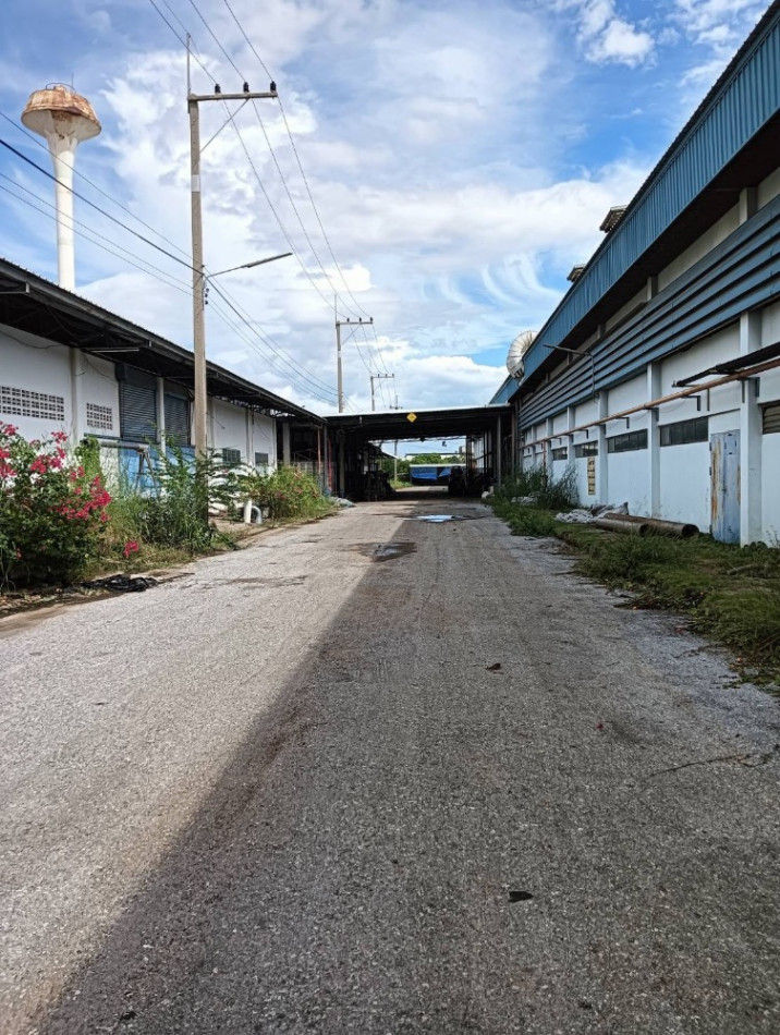 ให้เช่า โกดัง ขนาดใหญ่ ติดถนนสุวรรณศร กม. 84 จังหวัดสระบุรี ใกล้ Motorway เดินทางสะดวก ID-13557 รูปที่ 5