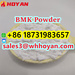 รูปย่อ New BMK Powder CAS 5449-12-7 BMK PMK Supplier Pure 99% รูปที่2