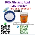 high quality CAS 5449-12-7 BMK Powder Glycidic Acid C10H9NaO3 