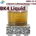 Fast Delivery BK4 Liquid 2-Bromo-1-Phenyl-Pentan-1-One CAS 49851-31-2 with High Purity