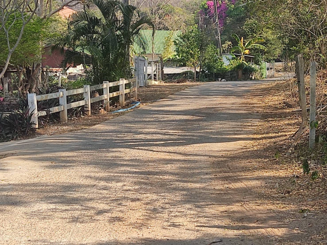 ขายที่ดินพญาเย็น ปากช่อง 208 ตรว. ถมแล้วติดถนนคอนกรีต มีวิวเขา ซอยร้านอาหารแดรี่โฮม รูปที่ 2