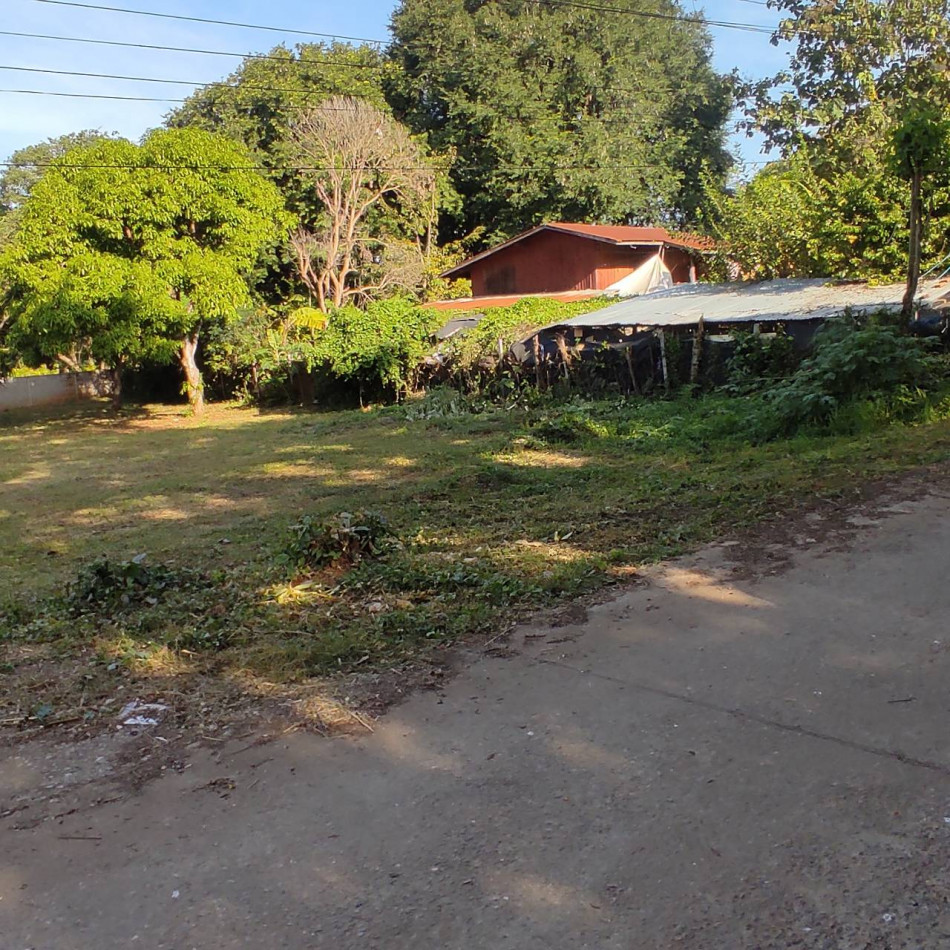 ขายที่ดินพญาเย็น ปากช่อง 208 ตรว. ถมแล้วติดถนนคอนกรีต มีวิวเขา ซอยร้านอาหารแดรี่โฮม รูปที่ 5