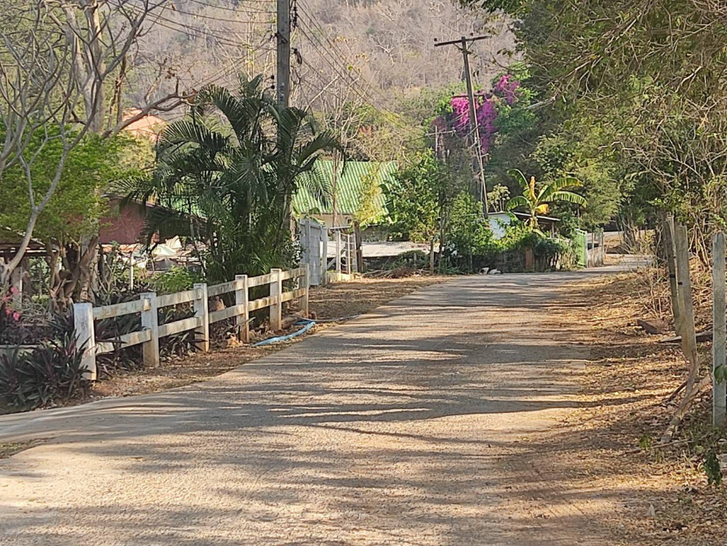 ขายที่ดินพญาเย็น ปากช่อง 208 ตรว. ถมแล้วติดถนนคอนกรีต มีวิวเขา ซอยร้านอาหารแดรี่โฮม รูปที่ 3