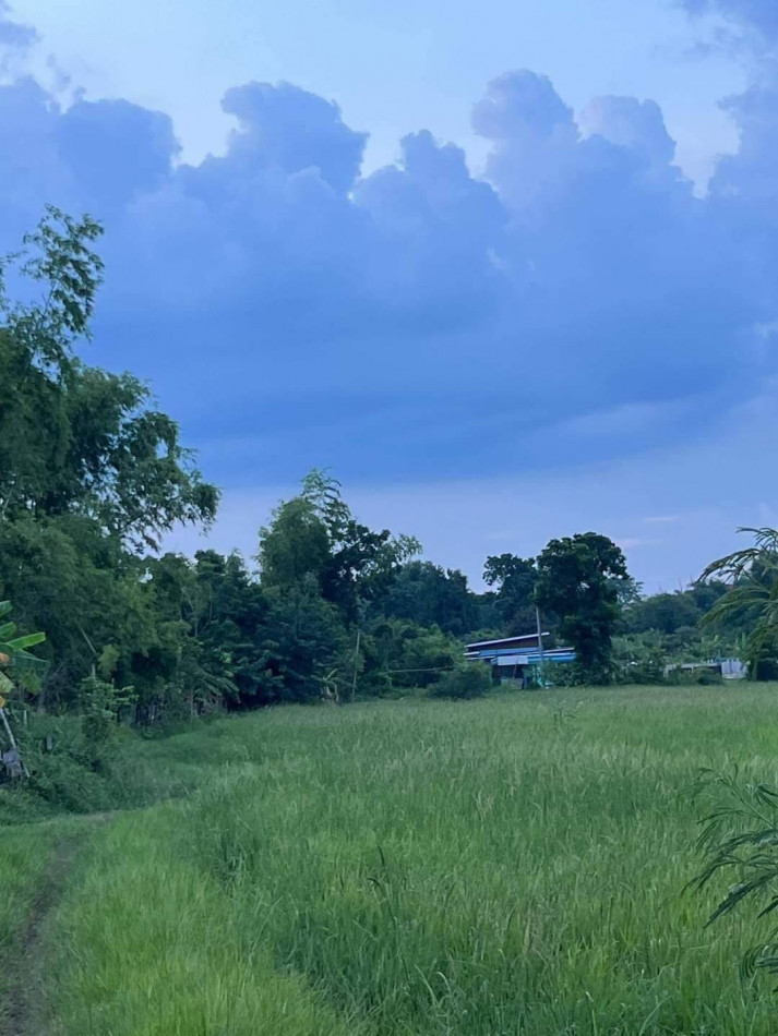 ขายที่ดินท่าช้าง 6 ไร่ ขายเหมา 1.6 ล้านบาท หลังวัดเจริญสุข ใกล้สถานีรถไฟบ้านพระพุทธ - 1.2 กม. อ.เฉลิมพระเกียรติ จ.นครราชสีมา รูปที่ 4