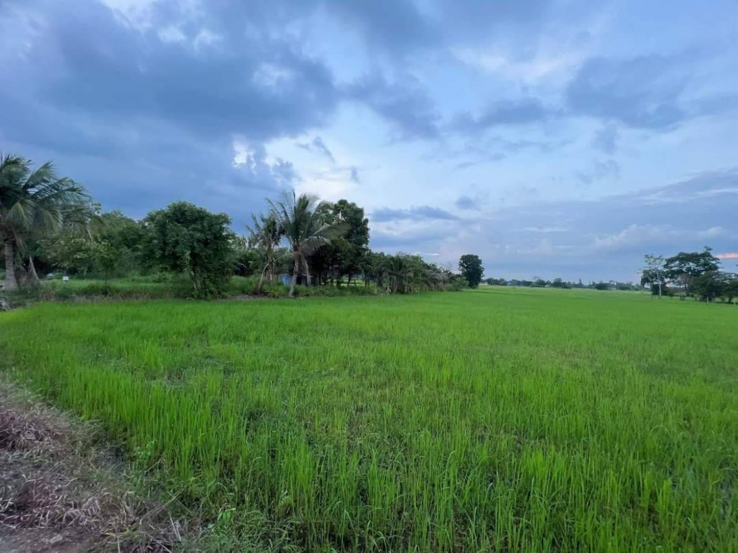 ขายที่ดินท่าช้าง 6 ไร่ ขายเหมา 1.6 ล้านบาท หลังวัดเจริญสุข ใกล้สถานีรถไฟบ้านพระพุทธ - 1.2 กม. อ.เฉลิมพระเกียรติ จ.นครราชสีมา รูปที่ 6