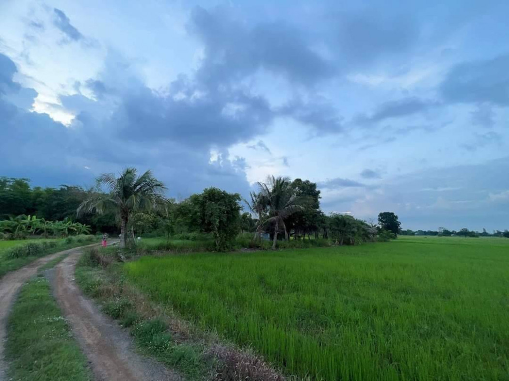 ขายที่ดินท่าช้าง 6 ไร่ ขายเหมา 1.6 ล้านบาท หลังวัดเจริญสุข ใกล้สถานีรถไฟบ้านพระพุทธ - 1.2 กม. อ.เฉลิมพระเกียรติ จ.นครราชสีมา รูปที่ 3