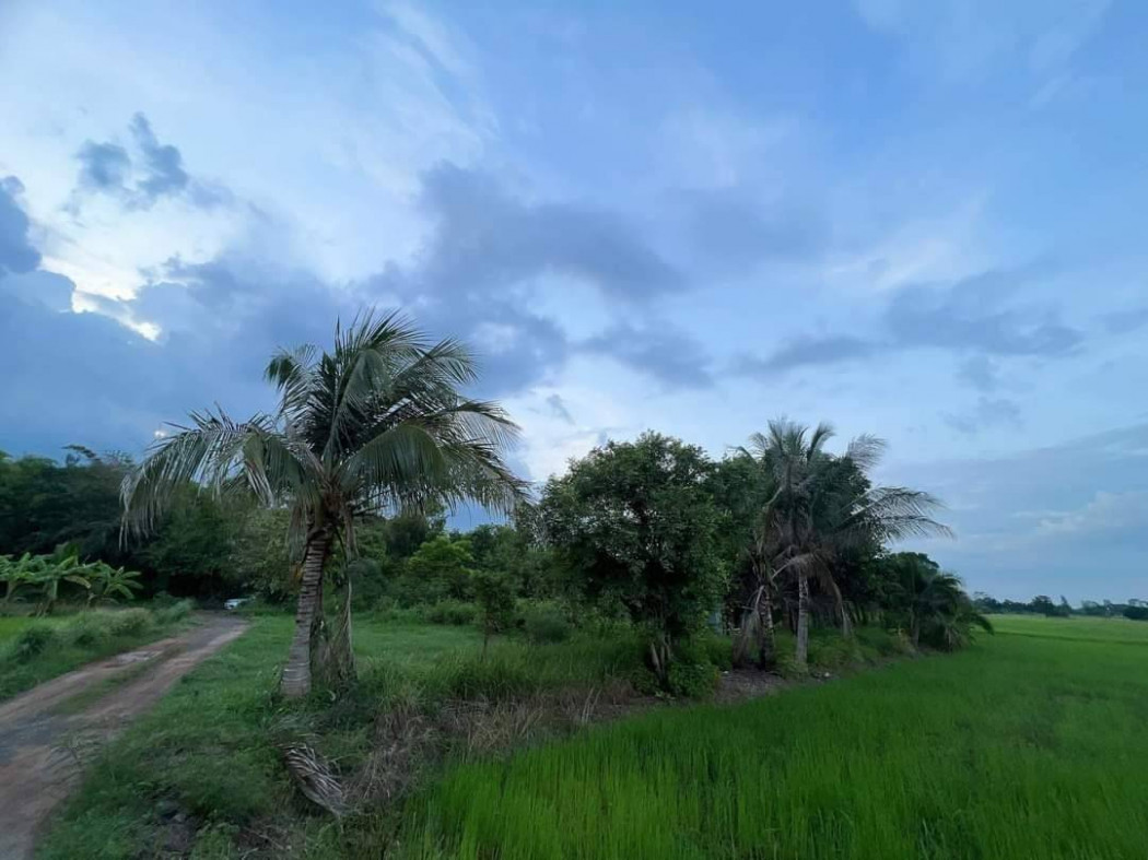 ขายที่ดินท่าช้าง 6 ไร่ ขายเหมา 1.6 ล้านบาท หลังวัดเจริญสุข ใกล้สถานีรถไฟบ้านพระพุทธ - 1.2 กม. อ.เฉลิมพระเกียรติ จ.นครราชสีมา รูปที่ 2