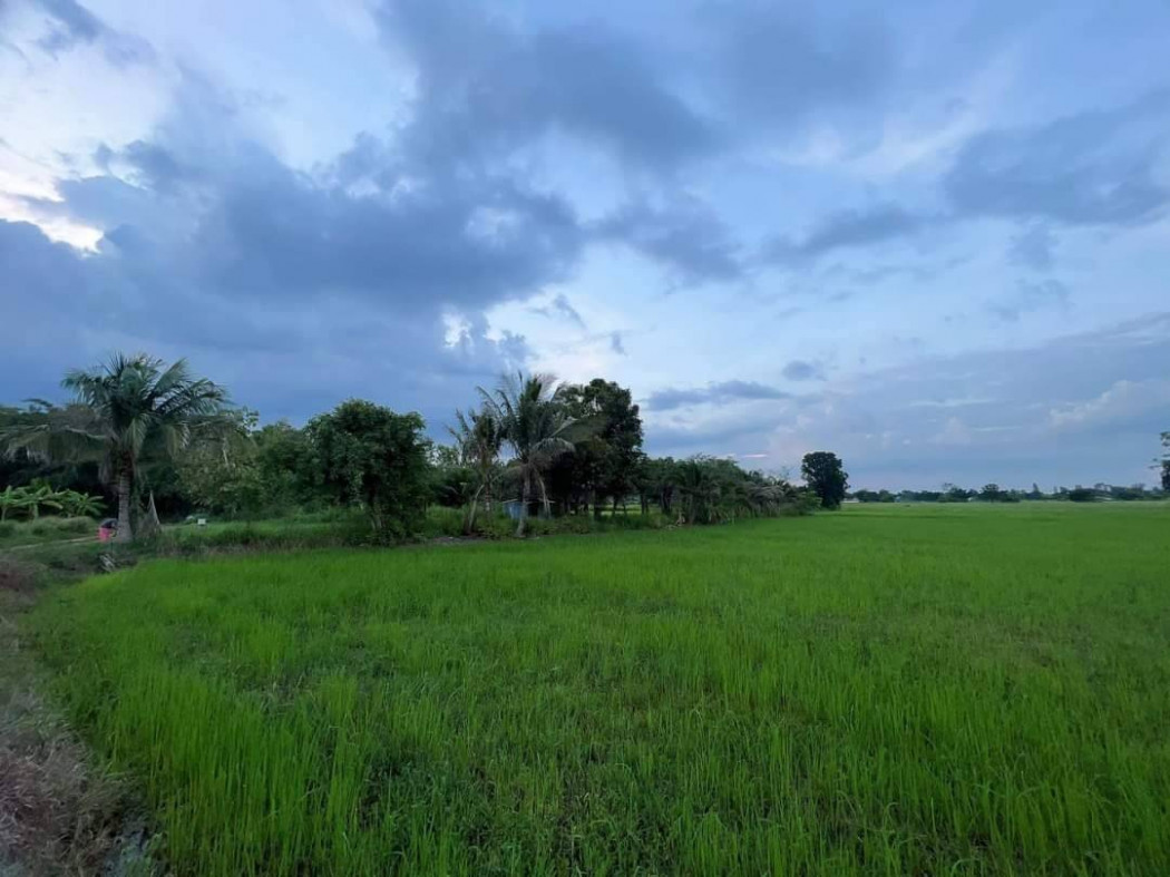 ขายที่ดินท่าช้าง 6 ไร่ ขายเหมา 1.6 ล้านบาท หลังวัดเจริญสุข ใกล้สถานีรถไฟบ้านพระพุทธ - 1.2 กม. อ.เฉลิมพระเกียรติ จ.นครราชสีมา รูปที่ 5