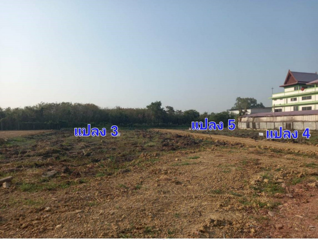 ขาย ที่ดินเปล่า นครปฐม 7แยกห้อยจรเข้  บรรยากาศบ้านสวนสงบ  1 งาน 65.8 ตร.วา รูปที่ 3