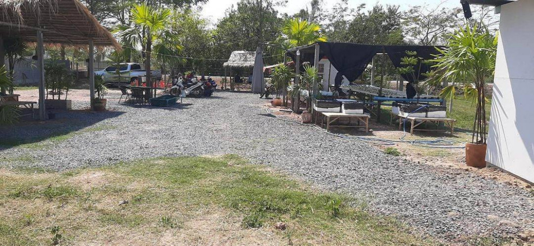 ขายที่ดินถมแล้วพร้อมสิ่งปลูกสร้าง 1 ไร่ ติดถนนลาดยาง ใกล้โรงเรียนสัมพันธ์ 1 กม. อ.ศรีมหาโพธิ ปราจีนบุรี รูปที่ 6