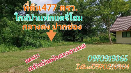 ขาย ที่ดิน  477 ตร.วา ทำเลมาแรงแปลงสวย กลางดง ติดเขาใหญ่ รูปที่ 7
