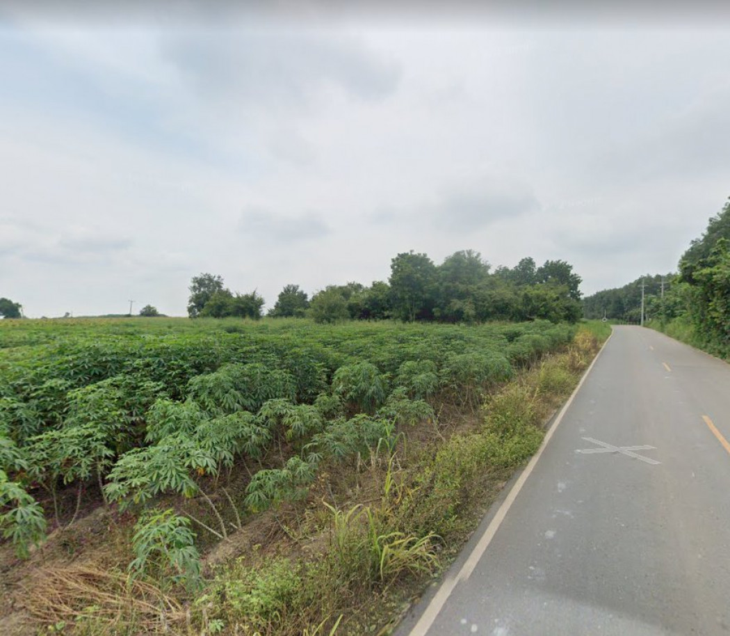 ขายที่ดินเขาหินซ้อน 1 ไร่ ติดถนนลาดยาง ใกล้ถ.กบินทร์บุรี - ฉะเชิงเทรา 304 - 5.5 กม. อ.พนมสารคาม ฉะเชิงเทรา รูปที่ 9