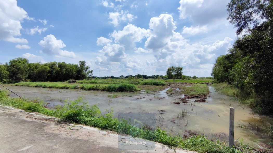 ขาย ที่ดิน 2 ไร่ คลอง 5 ฝั่งตะวันตก คลองหลวง ปทุมธานี ใกล้เส้นทางหลวงปทุมธานี-อยุธยา รูปที่ 1