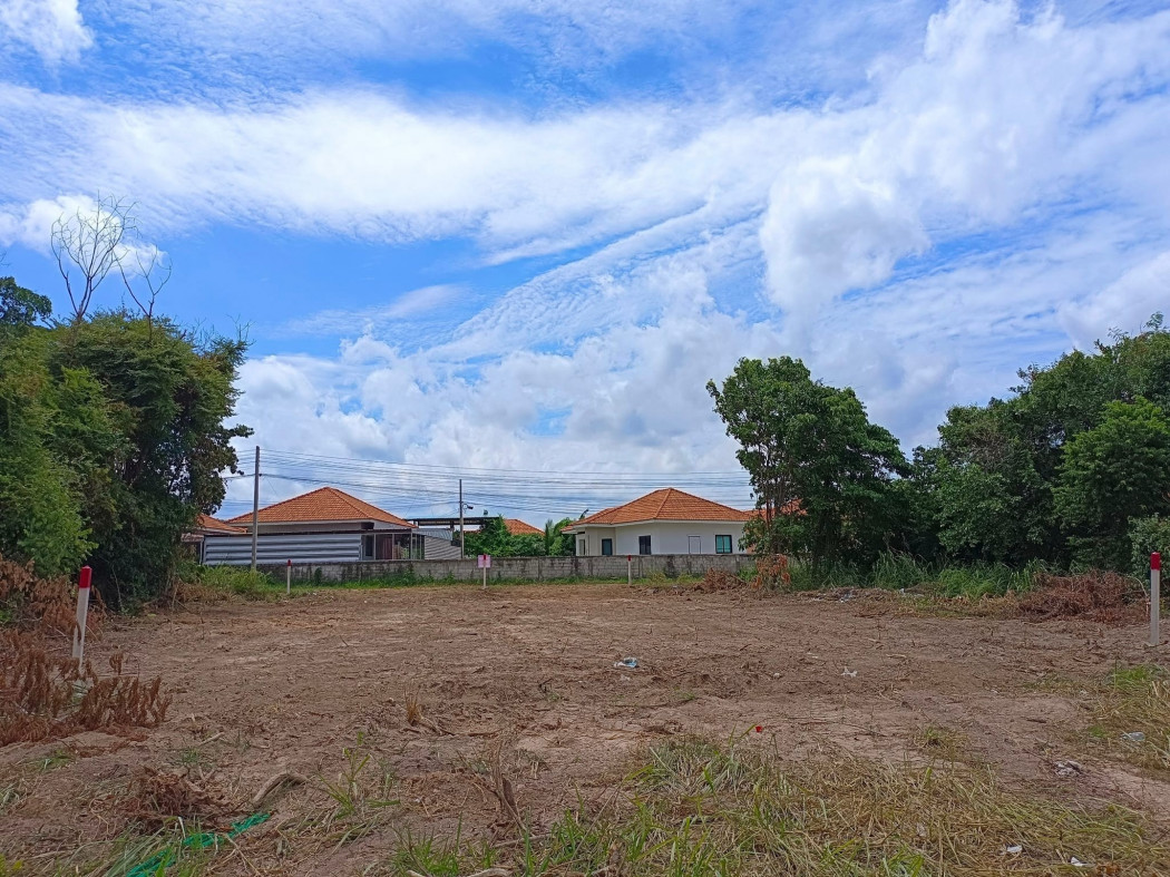 ขายที่ดินพลูตาหลวง สัตหีบ เนื้อที่ 125 ตรว. บางเสร่ กม.10 ถมแล้วติดถนนคอนกรีตซอยหมู่บ้านแสนดี ใกล้โลตัสอู่ตะเภา 2 กม. จ.ชลบุรี รูปที่ 4