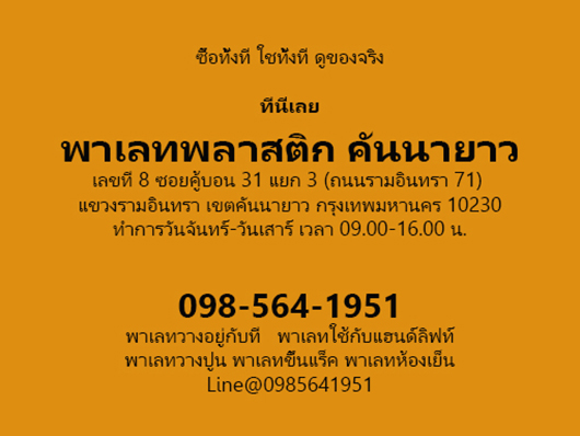 พาเลทไทยนิยม 100x120 พาเลทใช้กับแฮนด์ลิฟท์ รูปที่ 3