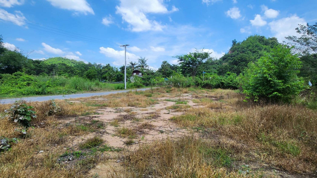 ขายที่ดินชะอม แก่งคอย วิวเขารอบทิศบรรยากาศดี 251 ตรว. ติดถนน3ด้านฮวงจุ้ยดี ถมแล้ว ขายเหมา9.9แสน ใกล้ถ.3222 - 2.7 กม. จ.สระบุรี รูปที่ 2