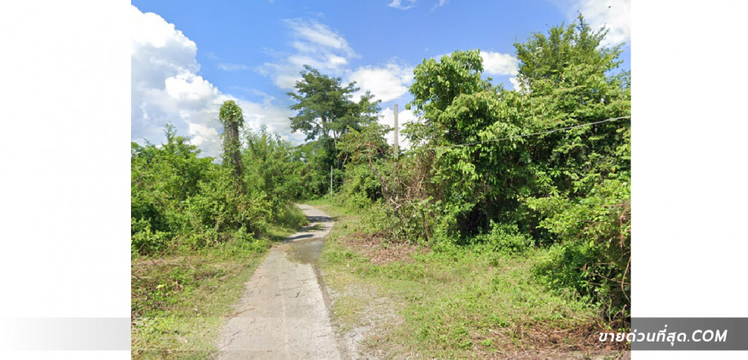 ขายที่ดิน 3 ไร่ 1 งาน 22.8 ตร.ว. บ้านดงเจริญชัย อ.สันทราย จ.เชียงใหม่ รูปที่ 4