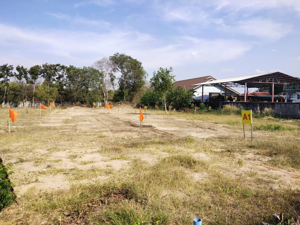 เปิดขายบ้านเดี่ยวพนมสารคามผสมผสานสไตล์โมเดิร์นและมินิมอล เนื้อที่60ตรว. 2นอน 1ห้องน้ำ จองวันนี้เพียง999 ผ่อน7,XXXเดือน จ.ฉะเชิงเทรา รูปที่ 3