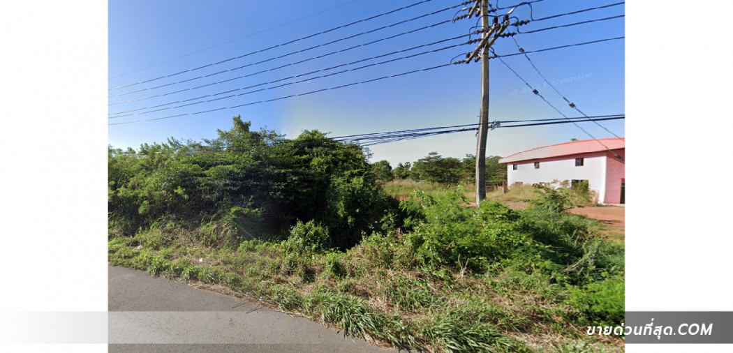 ขาย ที่ดิน ขายที่ดิน 30 ไร่ 2 งาน 51 ตร.ว. ติด ถ.สุวรรณศร ใกล้ ตลาดนัดปิงพลาซ่า (ปราจีนฯ) 30 ไร่ 2 งาน 51 ตร.วา รูปที่ 3