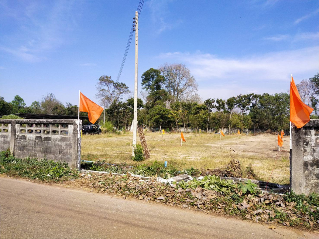เปิดขายบ้านเดี่ยวพนมสารคามผสมผสานสไตล์โมเดิร์นและมินิมอล เนื้อที่60ตรว. 2นอน 1ห้องน้ำ จองวันนี้เพียง999 ผ่อน7,XXXเดือน จ.ฉะเชิงเทรา รูปที่ 4