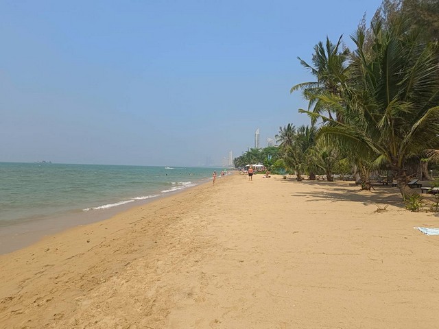 ที่ดินติดริมทะเลหาดส่วนตัว ทะเลนาจอมเทียน 2 ไร่ครึ่ง รูปที่ 1