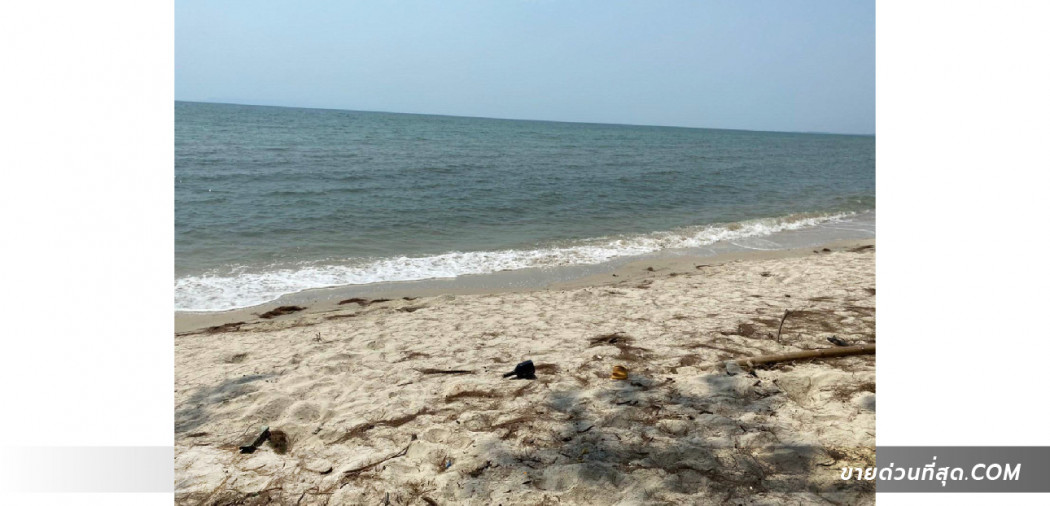 ขาย ที่ดิน ที่ดิน (น.ส.3) 65 ไร่ 0 งาน 10 ตร.ว. ติดทะเล หาดทับทิม (ตราด) รูปที่ 4