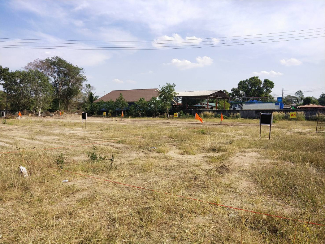 เปิดขายบ้านเดี่ยวพนมสารคามผสมผสานสไตล์โมเดิร์นและมินิมอล เนื้อที่60ตรว. 2นอน 1ห้องน้ำ จองวันนี้เพียง999 ผ่อน7,XXXเดือน จ.ฉะเชิงเทรา รูปที่ 5