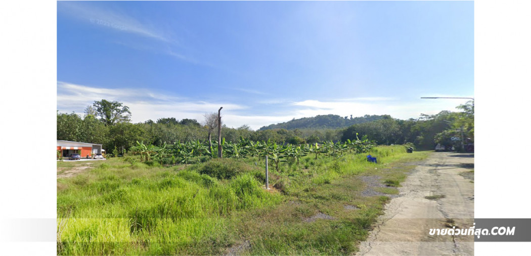 ขายที่ดิน 3 ไร่ 2 งาน 0 ตร.ว. ซอยตัณฑวณิชย์ ใกล้สนามบินภูเก็ต รูปที่ 3
