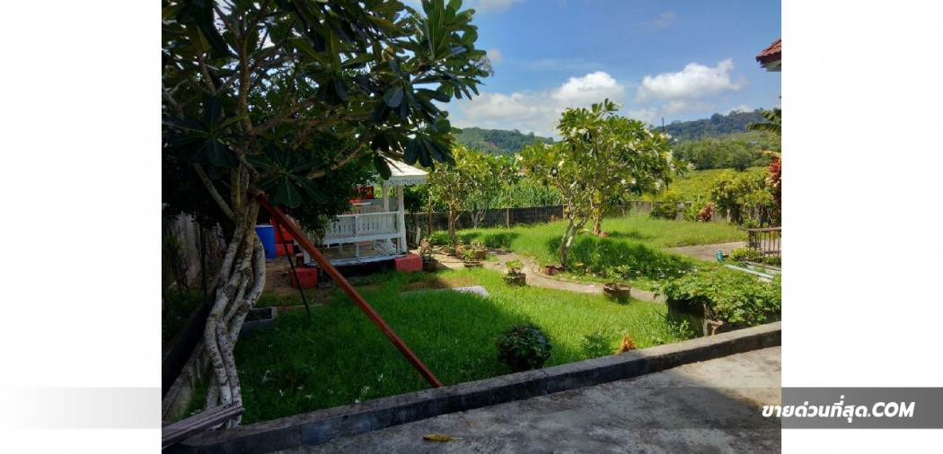 ขาย ที่ดิน ขายที่ดินพร้อมบังกะโล 11 หลัง เนื้อที่ 338.30 ตร.ว. ใกล้สนามบินภูเก็ต รูปที่ 6