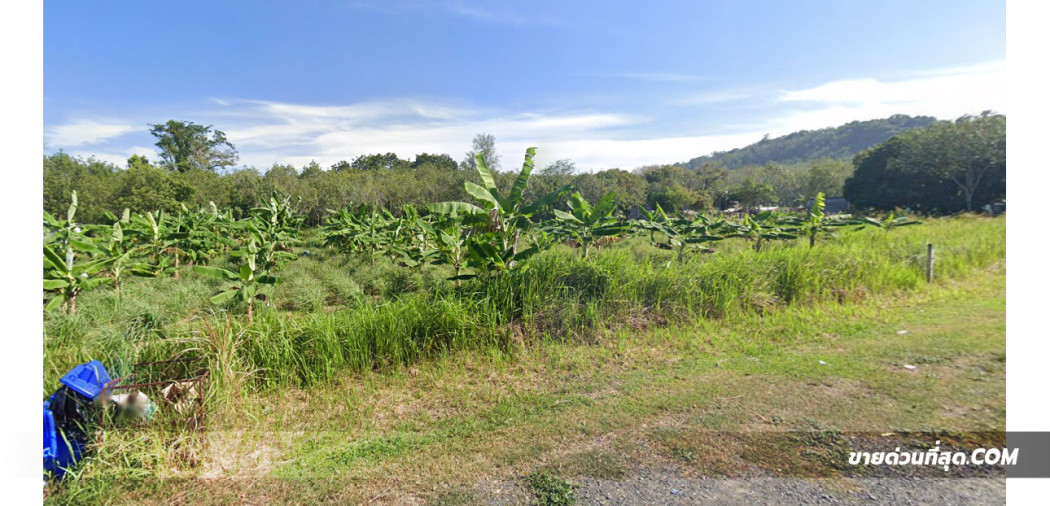 ขายที่ดิน 3 ไร่ 2 งาน 0 ตร.ว. ซอยตัณฑวณิชย์ ใกล้สนามบินภูเก็ต รูปที่ 4