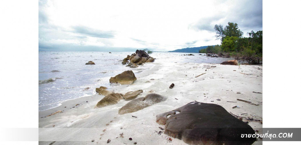 ขาย ที่ดิน ที่ดิน (น.ส.3) 65 ไร่ 0 งาน 10 ตร.ว. ติดทะเล หาดทับทิม (ตราด) รูปที่ 3