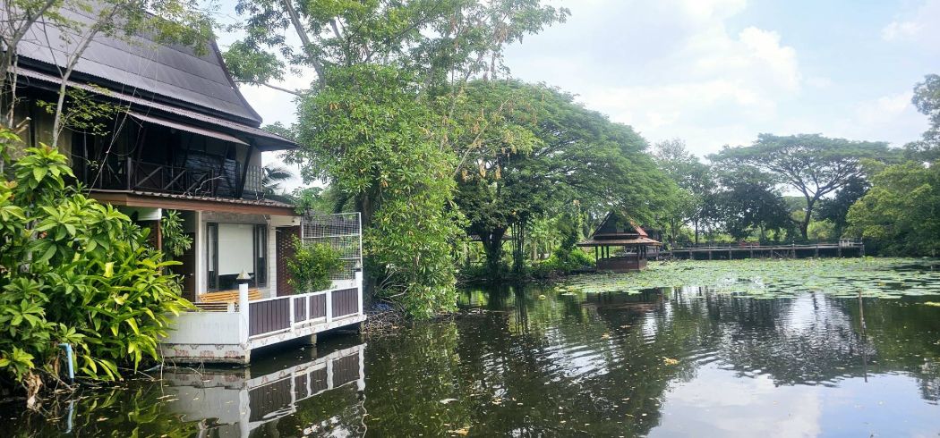 ขาย บ้านเดี่ยว สไตล์ เรือนไทย รีสอร์ท สวนอาหาร คาเฟ่พนาศรม 10 ไร่ 1 งาน 9.7 ตร.วา รูปที่ 3