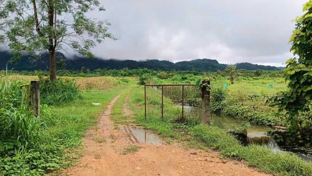 ขาย ที่ดิน บ้านไร่อิงธาร 54 ไร่ 240 ตร.วา มีธารน้ำในแปลง ติดถนนลาดยาง ลิ่นถิ่น ทองผาภูมิ รูปที่ 4