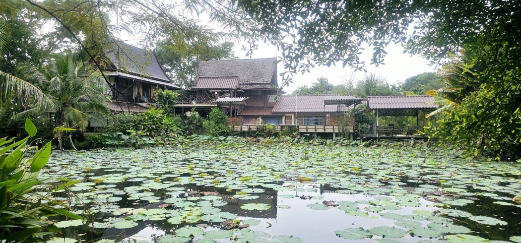 ขาย บ้านเดี่ยว สไตล์ เรือนไทย รีสอร์ท สวนอาหาร คาเฟ่พนาศรม 10 ไร่ 1 งาน 9.7 ตร.วา รูปที่ 2