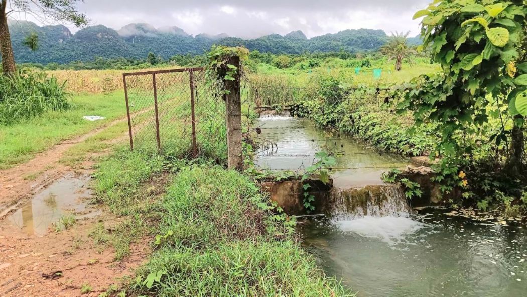 ขาย ที่ดิน บ้านไร่อิงธาร 54 ไร่ 240 ตร.วา มีธารน้ำในแปลง ติดถนนลาดยาง ลิ่นถิ่น ทองผาภูมิ รูปที่ 6
