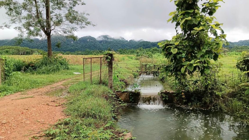 ขาย ที่ดิน บ้านไร่อิงธาร 54 ไร่ 240 ตร.วา มีธารน้ำในแปลง ติดถนนลาดยาง ลิ่นถิ่น ทองผาภูมิ รูปที่ 2