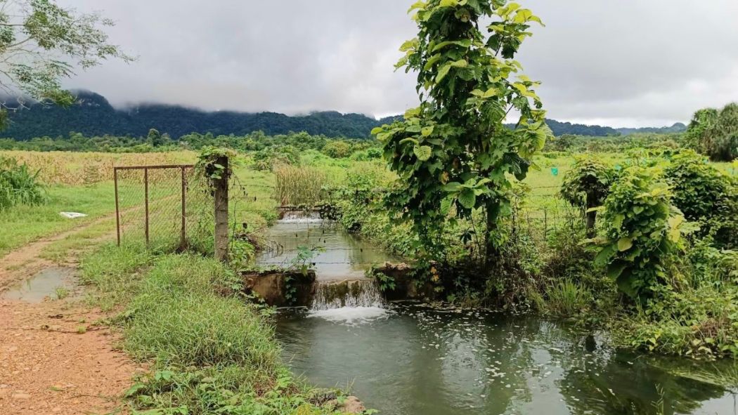 ขาย ที่ดิน บ้านไร่อิงธาร 54 ไร่ 240 ตร.วา มีธารน้ำในแปลง ติดถนนลาดยาง ลิ่นถิ่น ทองผาภูมิ รูปที่ 5