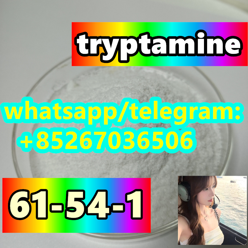 Manufacturer Supply 61-54-1 tryptamine รูปที่ 1