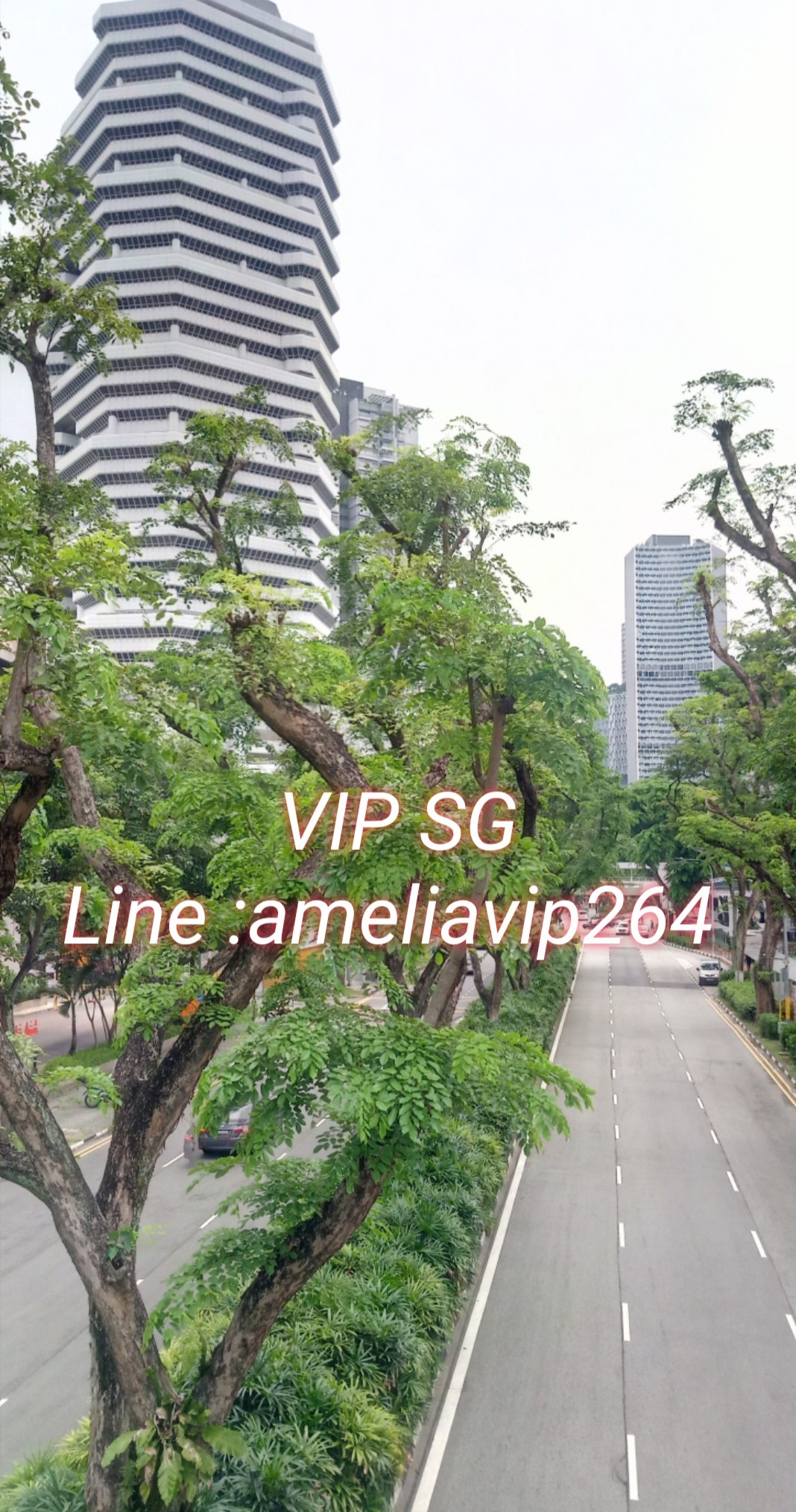 ​งาน, เงินเที่ยว​​VIP SG สิงคโปร์​++ทั่วโลก กับ​ ​ameliavip264​ รูปที่ 6