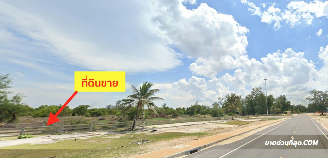ขาย ที่ดิน ขายที่ดิน 34 ไร่ 1 งาน 87 ตร.ว. ติดทะเล (หาดแก้ว) จ.สงขลา รูปที่ 4