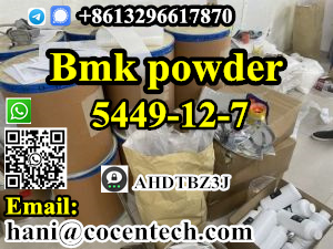 Hot precursor 5449-12-7 bmk powder Factory Supply High Purity bmk Glycidic Powder CAS 5449-12-7 In Stock Fast Delivery รูปที่ 3