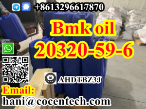Wholesale High Quality BMK Powder CAS 20320-59-6 BMK Oil รูปที่ 6