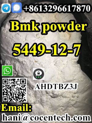 Hot precursor 5449-12-7 bmk powder Factory Supply High Purity bmk Glycidic Powder CAS 5449-12-7 In Stock Fast Delivery รูปที่ 7