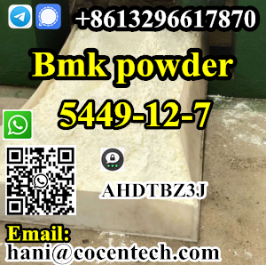 Hot precursor 5449-12-7 bmk powder Factory Supply High Purity bmk Glycidic Powder CAS 5449-12-7 In Stock Fast Delivery รูปที่ 1