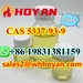 รูปย่อ Factory Direct Sale CAS 5337-93-9 4-Methylpropiophenone รูปที่1