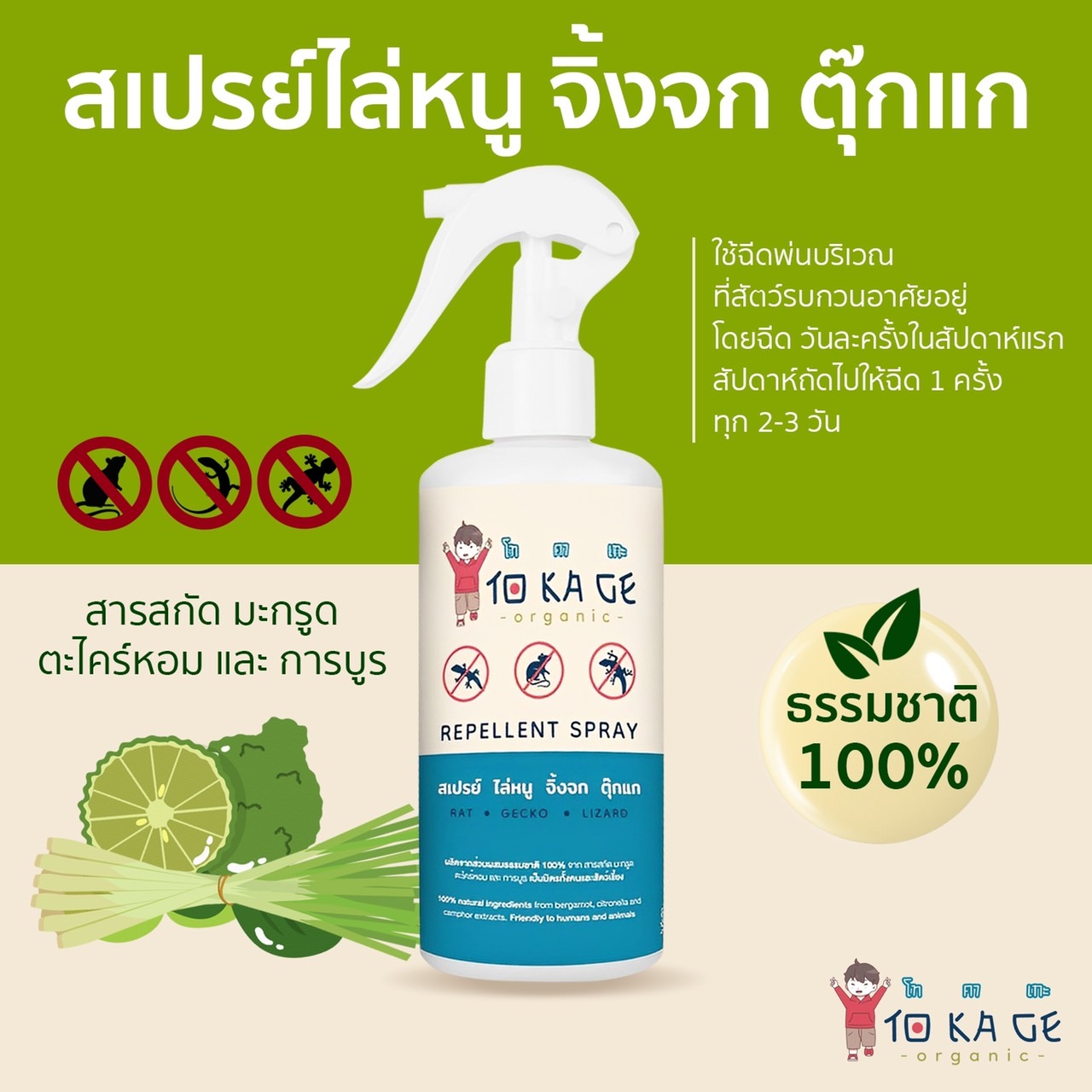 🦎สเปรย์ไล่จิ้งจก ไล่ตุ๊กแก ไล่หนู TOKAGE สูตรพิเศษ ผลิตจากสารธรรมชาติ ขนาด 300 ซีซี ของแท้ จิ้งจกหลบหน้าไม่มากวนใจ รูปที่ 2