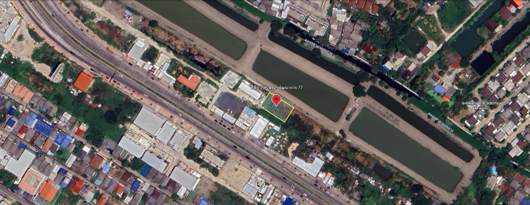 ขายที่ดิน พัฒนาการ77 รูปแปลงสวย 206ตรว. ใกล้ รถไฟฟ้า โรงเรียน ห้างสรรพสินค้า เดินทางสะดวกพัฒนาการ ทางตัดใหม่ รูปที่ 5